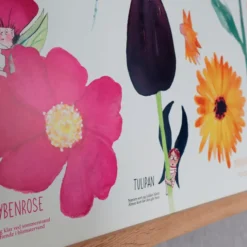 Poster 50 x 70 cm - Die Blumen und die Farben