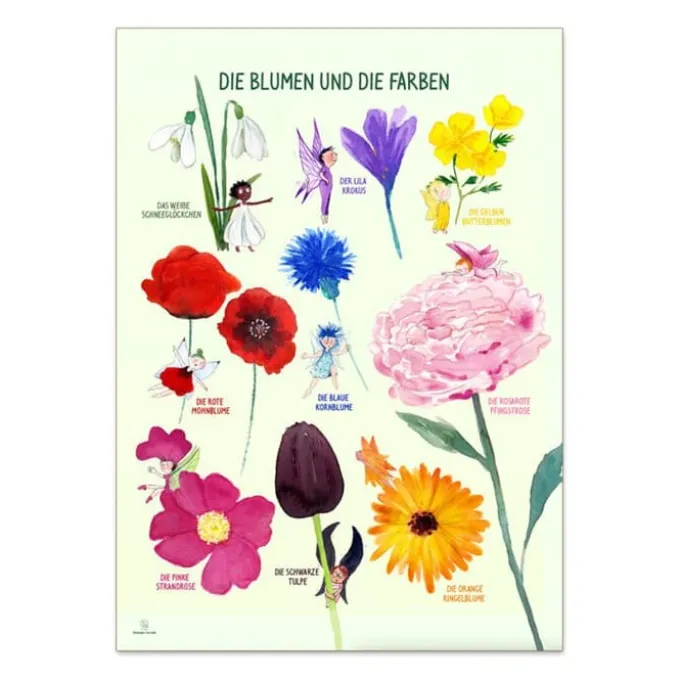 Poster 50 x 70 cm - Die Blumen und die Farben