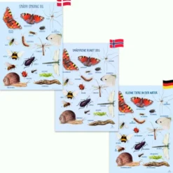 Poster 50 x 70 cm - Kleine Tiere in der Natur