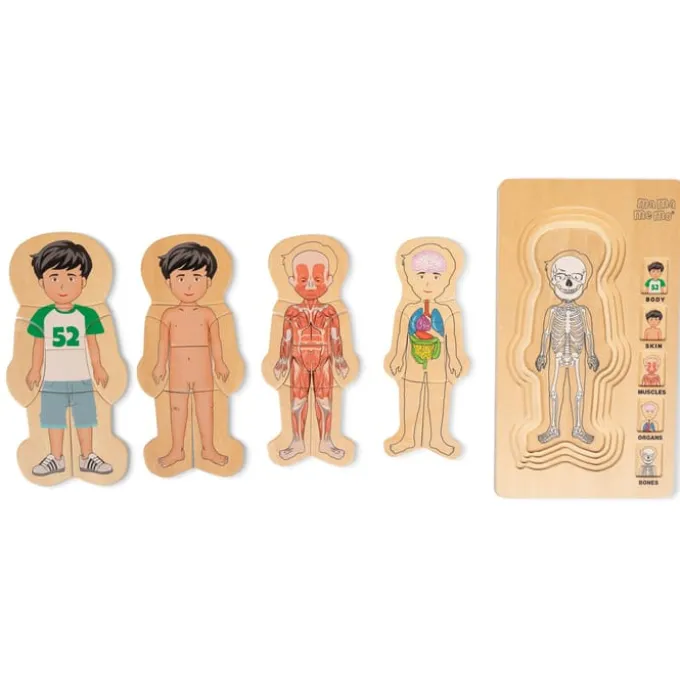 Puzzle - Anatomie Junge