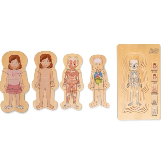 Puzzle - Anatomie Mädchen