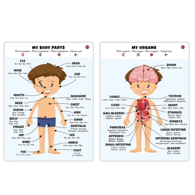 Puzzle Boden - 36 Teile - Junge