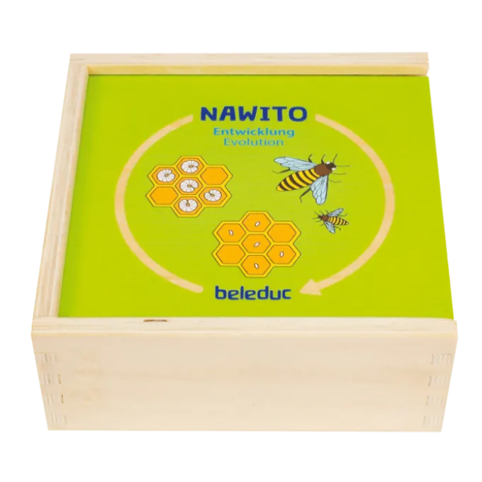 Puzzlebox - Lebenszyklen, 5 Stk.