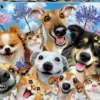 Puzzle, 500 Teile - Selfies, Hunde + Katzen