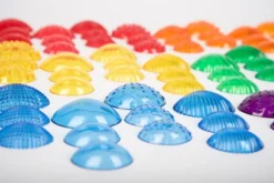 Sensorikmuscheln - transparent, 108 Stk.