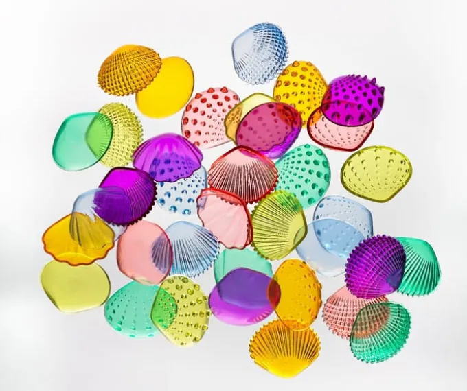 Sensorikmuscheln - transparent, 108 Stk.