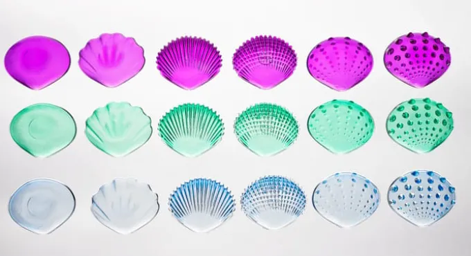 Sensorikmuscheln - transparent, 108 Stk.