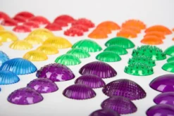 Sensorikmuscheln - transparent, 108 Stk.