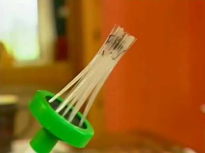 Spinnenfänger