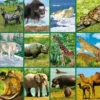 Taschenlampenprojektor - Tiere