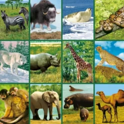 Taschenlampenprojektor - Tiere