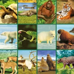 Taschenlampenprojektor - Tiere