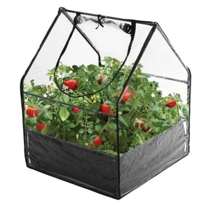 Treibhaus Mini - 85 x 65 x 65 cm