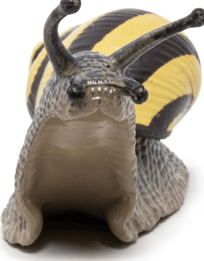 Waldschnecke (L: 6 cm)