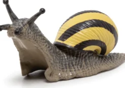 Waldschnecke (L: 6 cm)