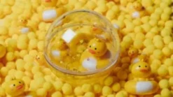 Wasserball – Enten auf Schwimmausflug