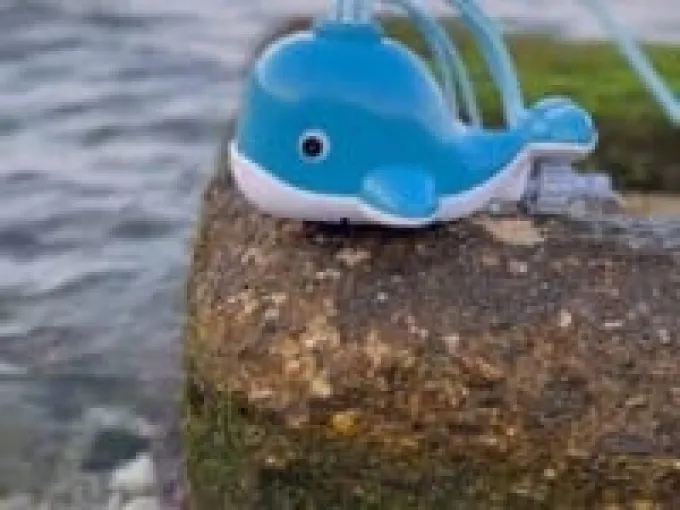 Wassersprinkler - Wal