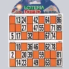 Zahlenlotto-Karten, 48 Stk.