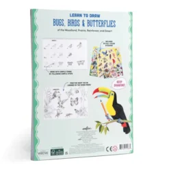 Zeichnen lernen – Käfer, Vögel & Schmetterlinge