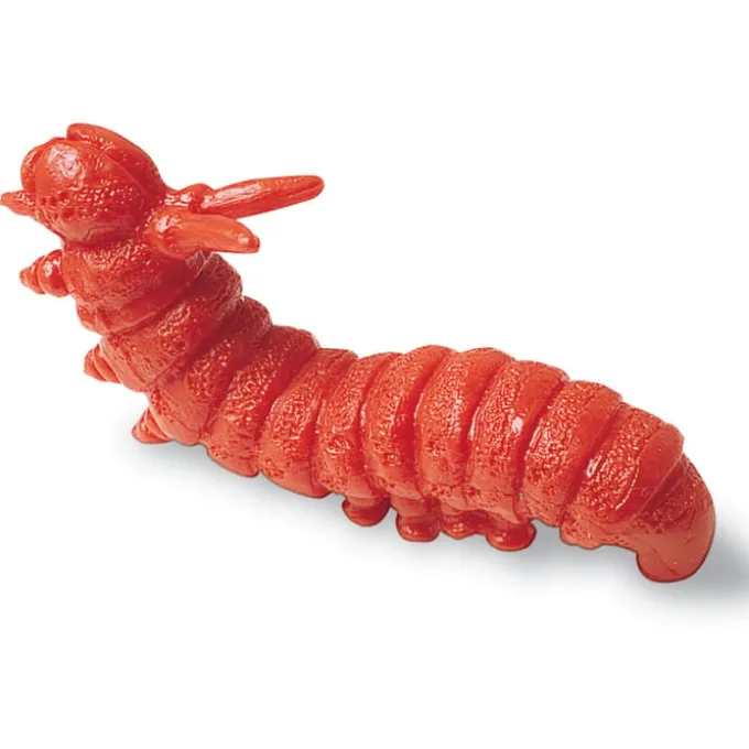 Zähle & Sortiere - Insekten, 72-teilig